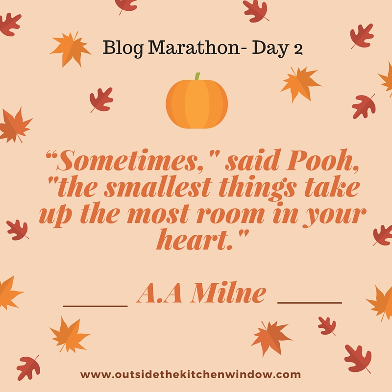 “Sometimes,' said Pooh, 'the smallest things take up the most room in your heart.”- A.A Milne